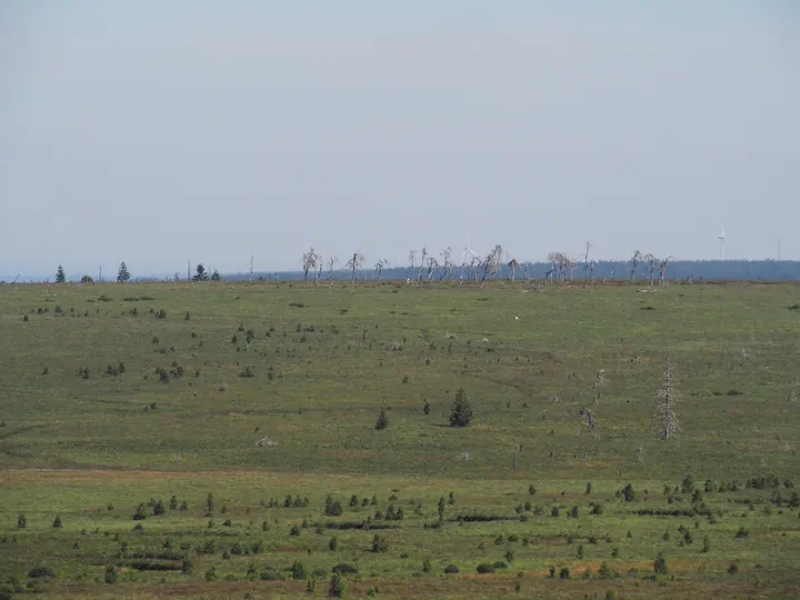 Signal de Botrange (België)